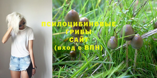 apvp Долгопрудный
