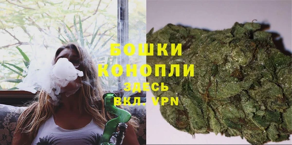 дмт Нея