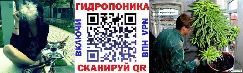 Канабис сатива Южа